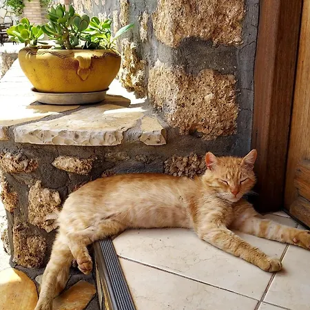 Feriehus Three Hearts Ágios Pétros